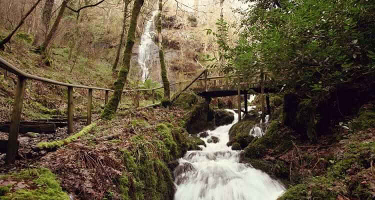willow lodge, Canonteign Waterfalls and Country Park